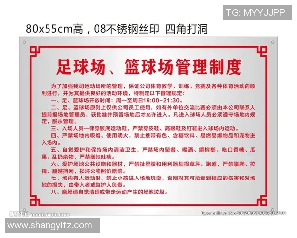 东北篮球足球明星的崛起与影响力探讨